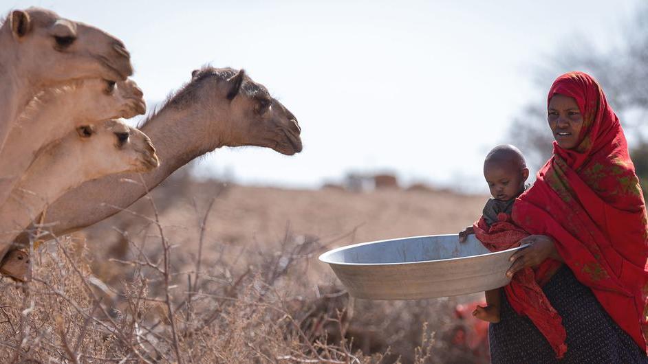 Woman holds baby and feed camels