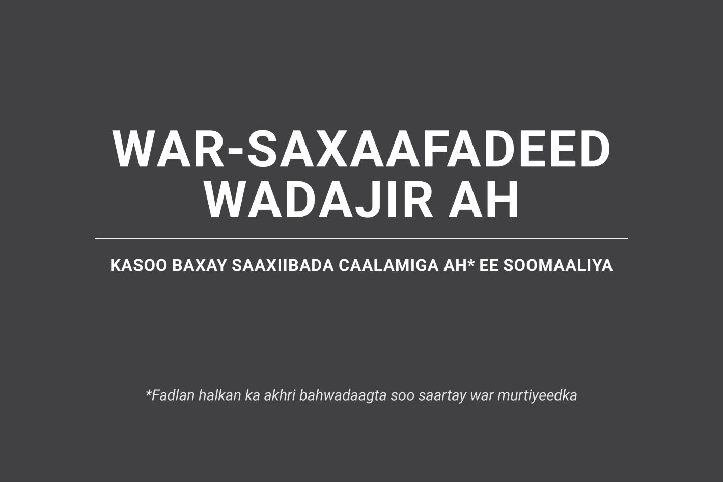 Joint press statement Som