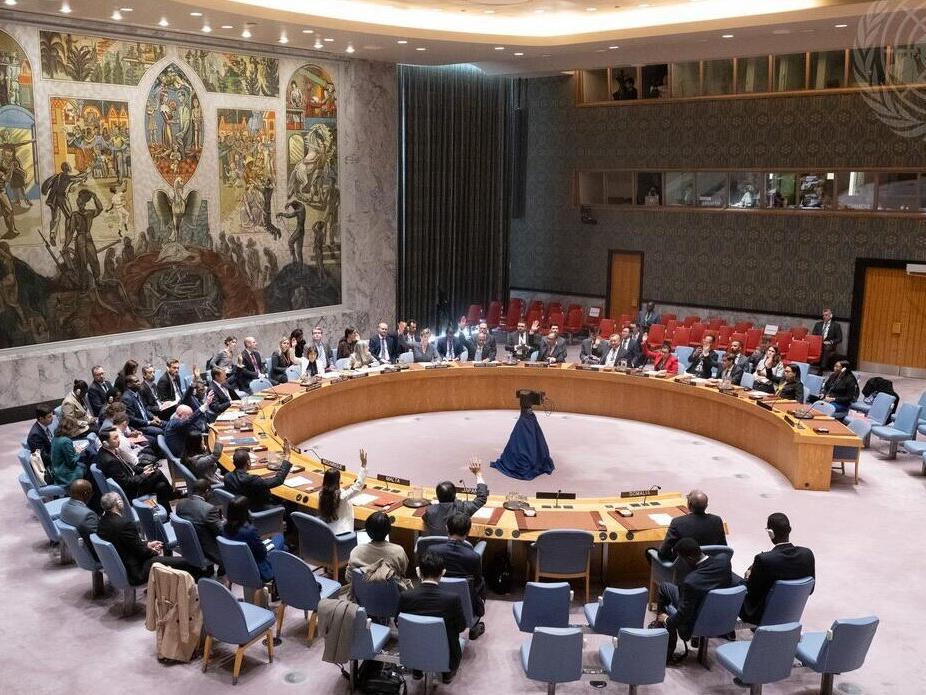 Photo of Security Council in session