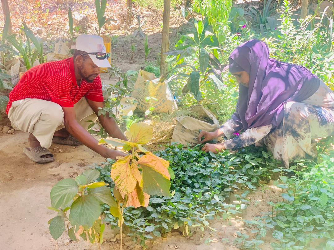 Photo of Fatuma Mohamed Abdi Photo of Fatuma Mohamed Abdi